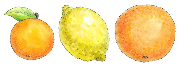 Aquarell-Gemälde einer Reihe von Früchten: Mandarine, Zitrone und Orang-Utan — Stockfoto