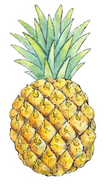 Meyve bir dizi suluboya resim: ananas