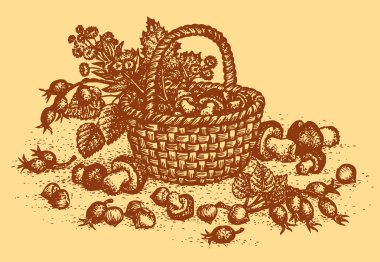 vektör natürmort, mantar, rose hips ve fındık sepeti