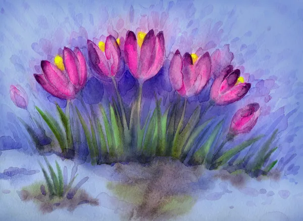 Aquarelle de fond de fleurs du début du printemps. Crocus — Photo