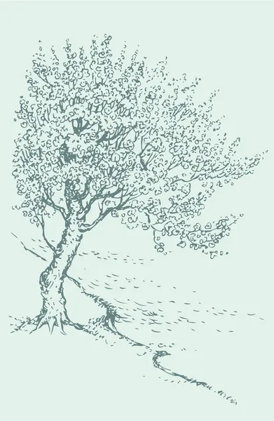 Bosquejo vectorial floreciendo árbol de primavera en la orilla del río — Vector de stock