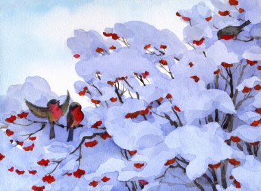 Watercolor winter scene. Bullfinch sitting on branches of viburn