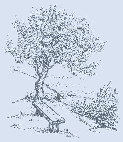 Paysage vectoriel. Ancien banc au bord de la rivière sous l'arbre — Image vectorielle