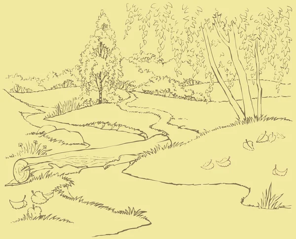 Vector landschap. het pad en de stream in herfst bos — Stockvector