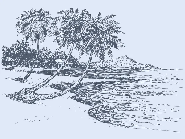 Vector de paisaje marino. Palmeras en la orilla del océano — Archivo Imágenes Vectoriales