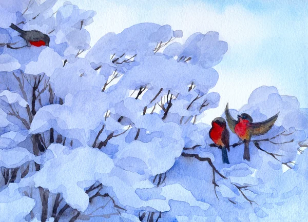 Watercolor winter scene. Bullfinch sitting on a snow-covered branches — Stock Photo, Image