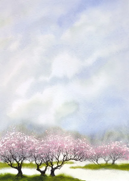 Paysage aquarelle. Floraison d'arbres près de la rivière — Photo