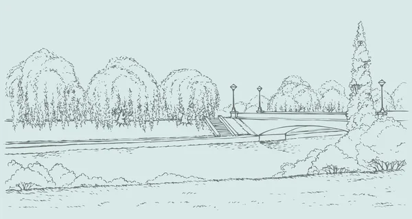 Vector landschap. Park met een brug over de rivier en wilgen — Stockvector