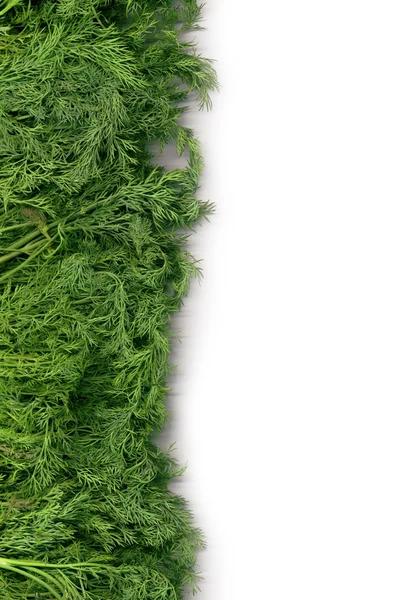 Фон з яскравою пишною зеленню — стокове фото