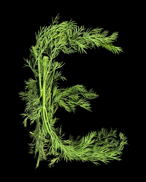 Vegetable Alphabet of sprigs of dill. Letter E — Stock Photo, Image