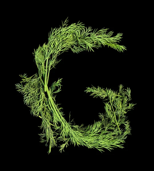 Vegetable Alphabet of sprigs of dill. Letter G — Stock Photo, Image