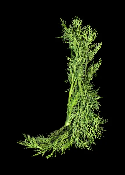 Vegetable Alphabet of sprigs of dill. Letter J — Stock Photo, Image