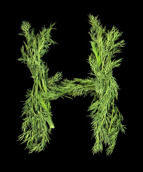 Vegetable Alphabet of sprigs of dill. Letter H — Stock Photo, Image