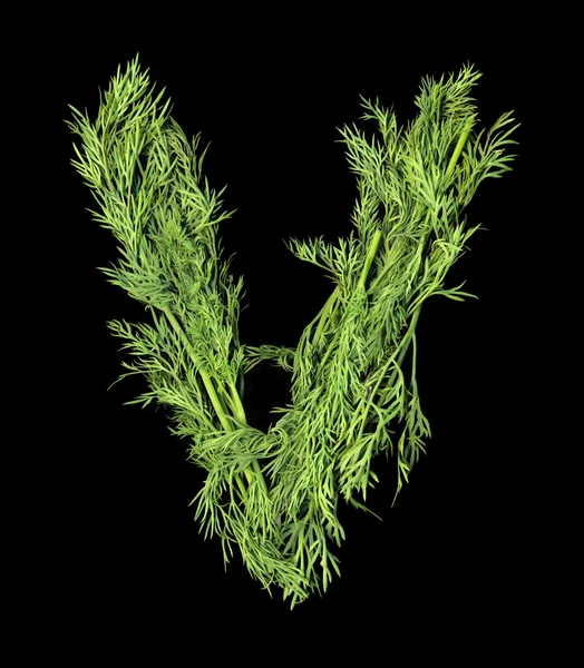 Vegetable Alphabet of sprigs of dill. Letter V — Stock Photo, Image