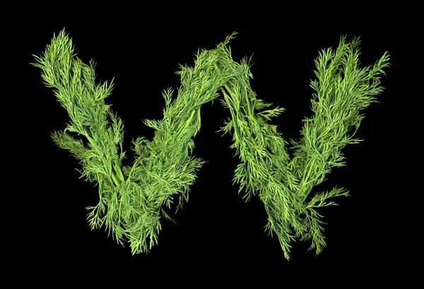 Vegetable Alphabet of sprigs of dill. Letter W — Stock Photo, Image