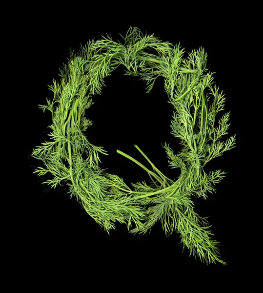 Vegetable Alphabet of sprigs of dill. Letter Q — Stock Photo, Image