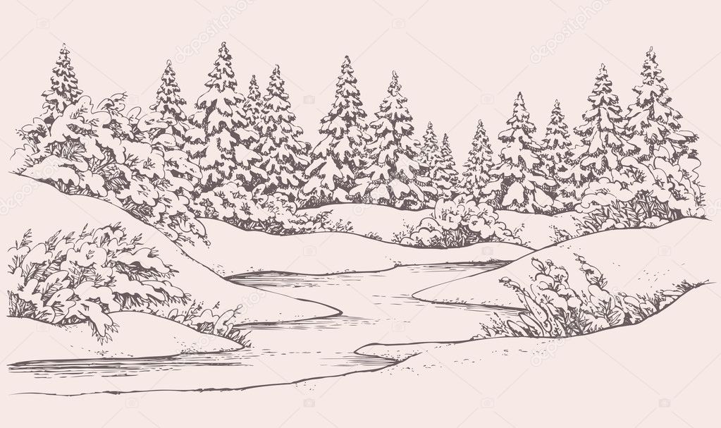 Vector winter landscape. Forest firs near frozen river
