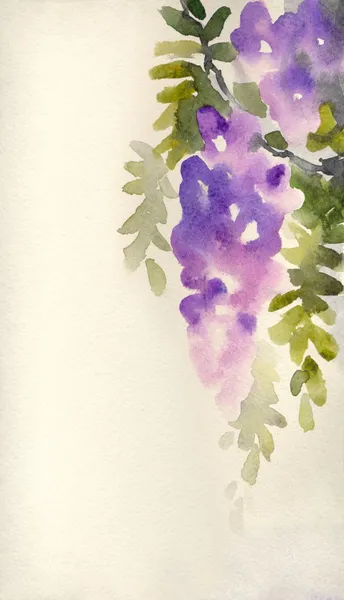 Fundo aquarela com violeta wisteria em flor — Fotografia de Stock