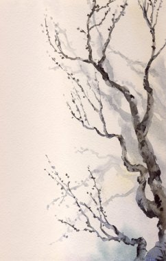 suluboya resim. çıplak yaşlı bir ağaç dalı