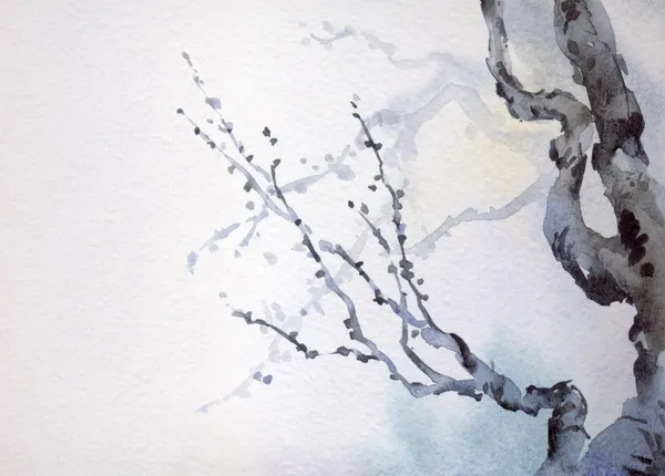 Watercolor painting. Bare branches of an old tree — Stock Photo, Image