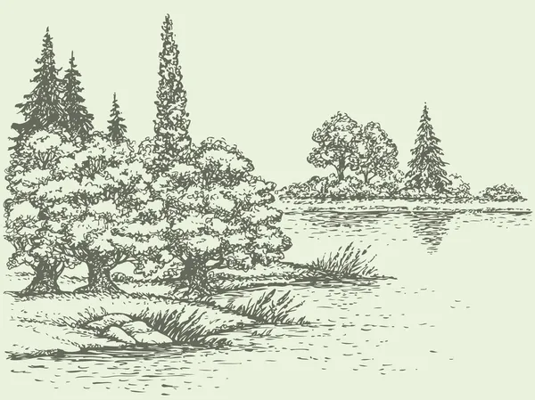 ベクトル夏の風景。川沿いに森林木 — ストックベクタ