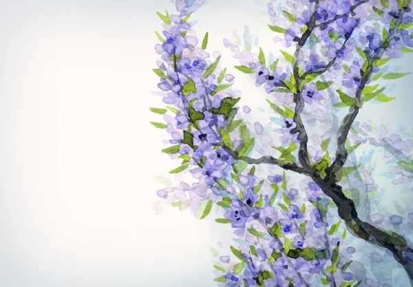 Fondo de primavera de acuarela. Flores azules en ramas de árboles — Foto de Stock