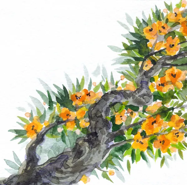 水彩画背景。古い木の咲く春します。 — ストック写真