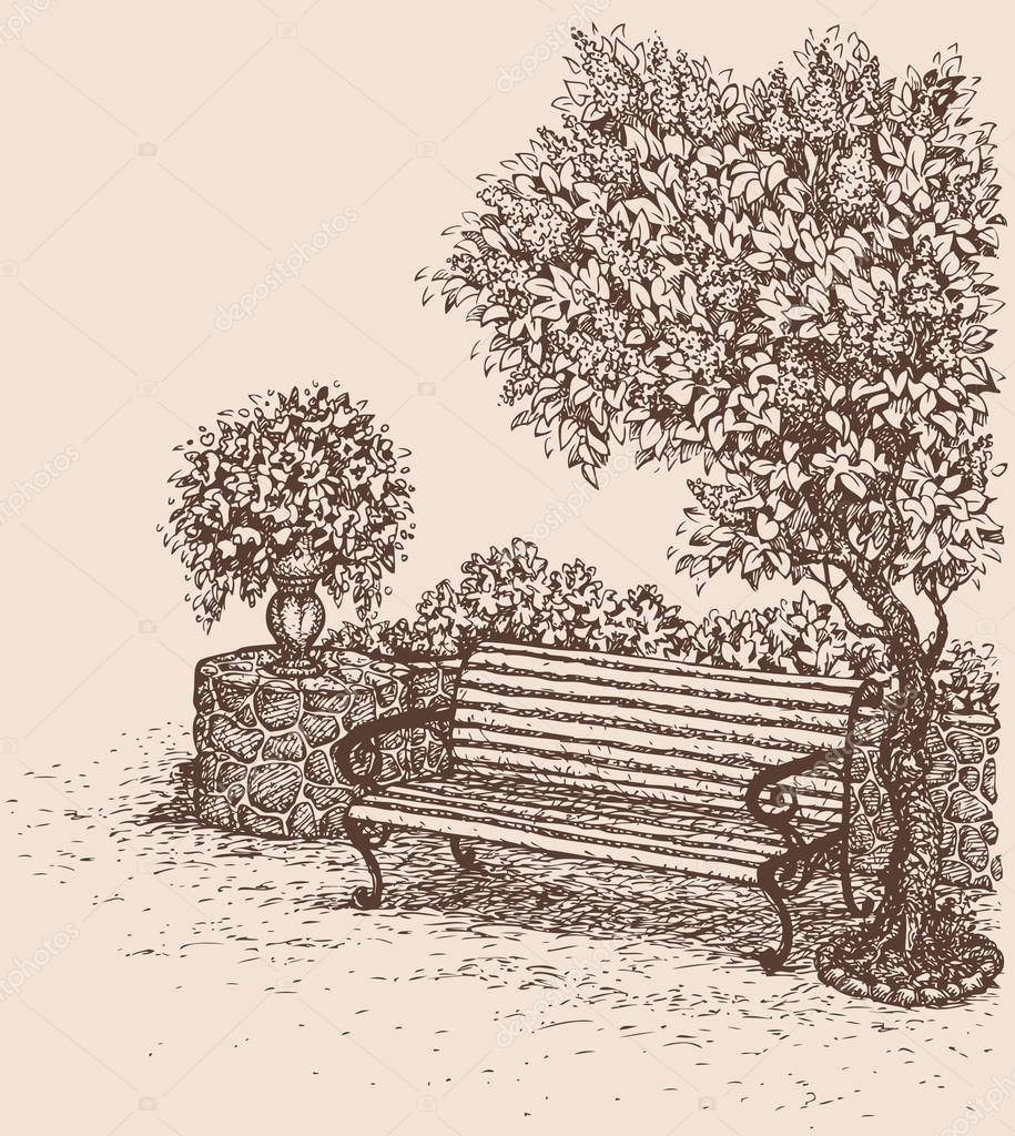 Vector Drawing Park Bench Under A Blooming Lilac Bush Vector Image By Marinka Vector Stock 38088889