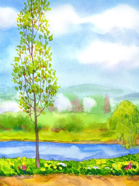 Akvarell landskap. unga poppel på floden — Stockfoto