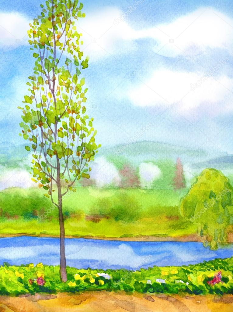 Watercolor landscape. Young poplar tree on the river