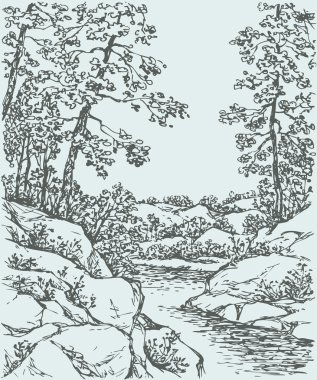 Vector landscape. Trees on rocky bank of mountain stream
