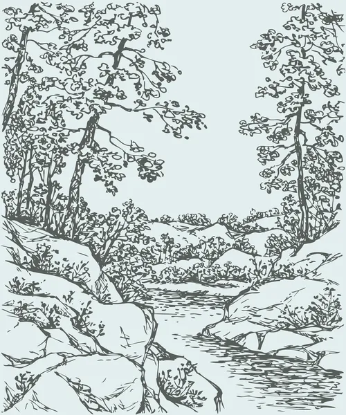 Paisaje vectorial. Árboles en la orilla rocosa del arroyo de montaña — Archivo Imágenes Vectoriales