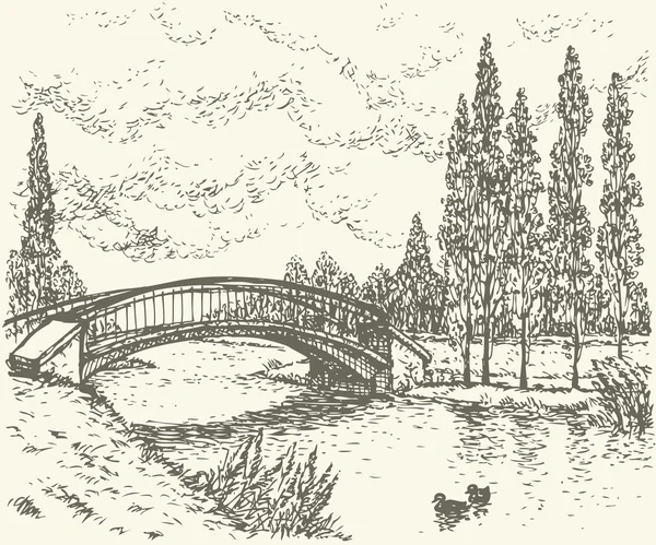Vector landscape. Sketch of park bridge over lake — Stock Vector