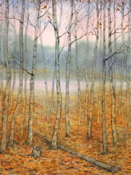 Aquarel landschap. een rustige avond in de herfst bos — Stockfoto