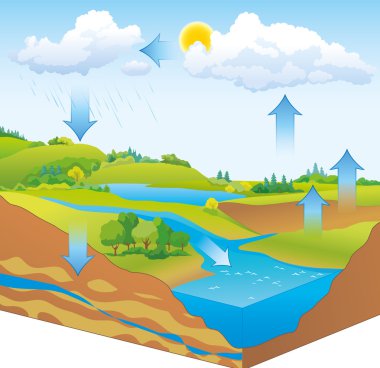 Vector schematic representation of the water cycle in nature clipart