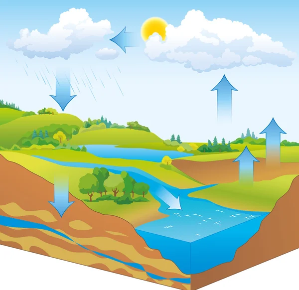 Rappresentazione schematica vettoriale del ciclo dell'acqua in natura — Vettoriale Stock