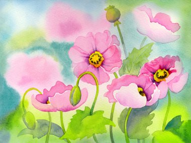 güneşli flowerbed üzerinde pembe poppies suluboya