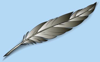 vektör çizim renkli kuş tüyü