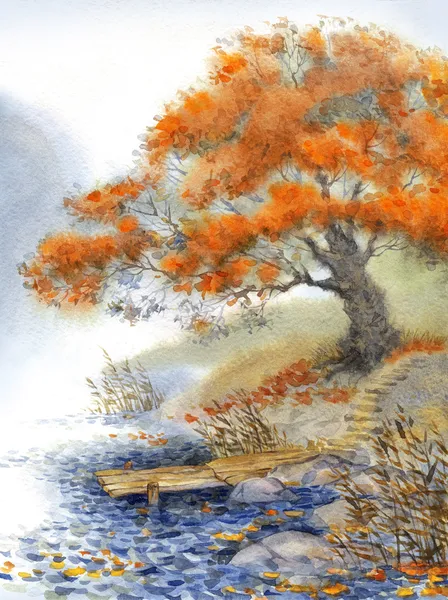 Watercolor landscape. An old tree near the pond — Stock Photo, Image