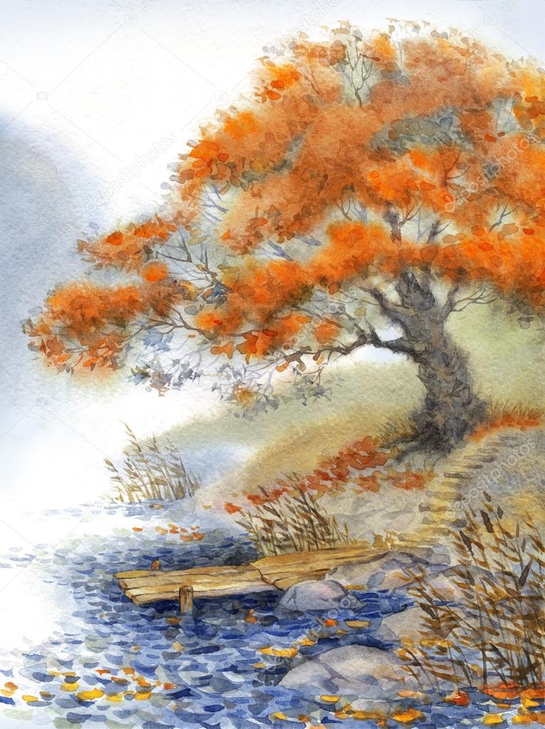 Watercolor landscape. An old tree near the pond