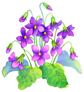 suluboya resim. Orman mor narin çiçekler bush