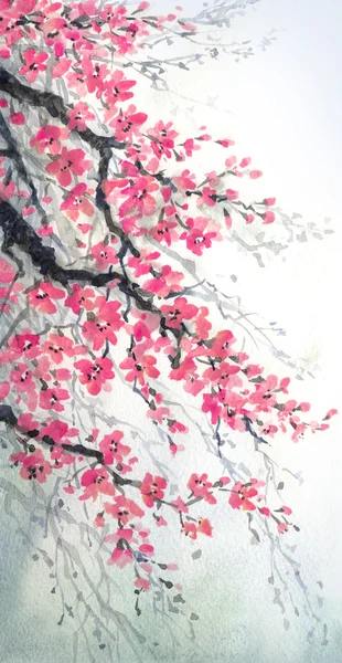 Watercolor painting. Branches with fragrant flowers — Stock Photo, Image