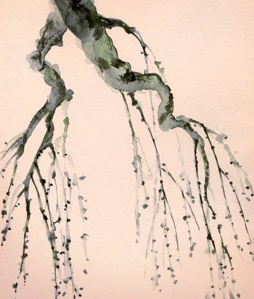 水彩画。古い木の裸の枝 — ストック写真