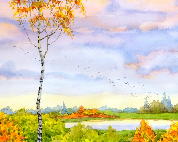 Aquarel landschap. herfst berk — Stockfoto