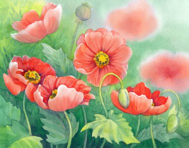 Yeşil güneşli flowerbed üzerinde kırmızı poppies suluboya