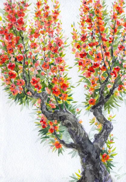Sfondo acquerello. Fioritura di primavera di un albero vecchio — Foto Stock