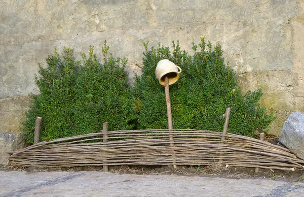 Buchsbaumsträucher für Weidenzaun mit Topf — Stockfoto