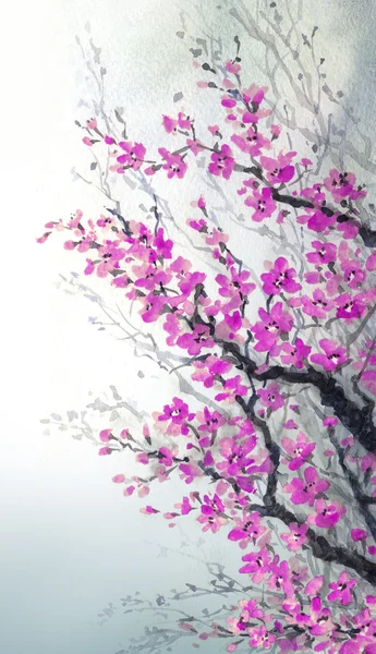 Akvarelu. větve květy třešní — Stock fotografie