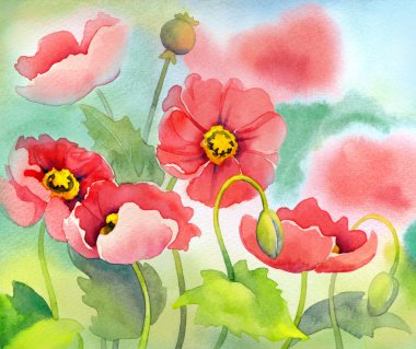 güneşli flowerbed üzerinde pembe poppies suluboya