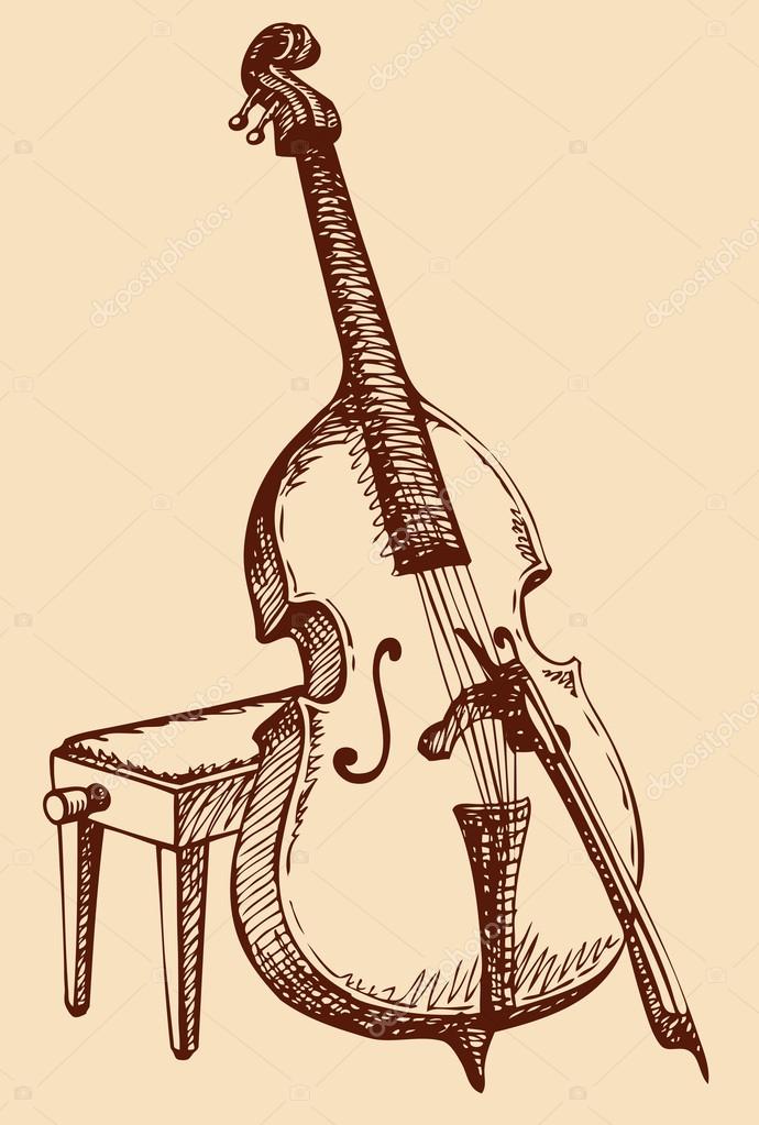 Vector line drawing of double bass instrument | Free SVG